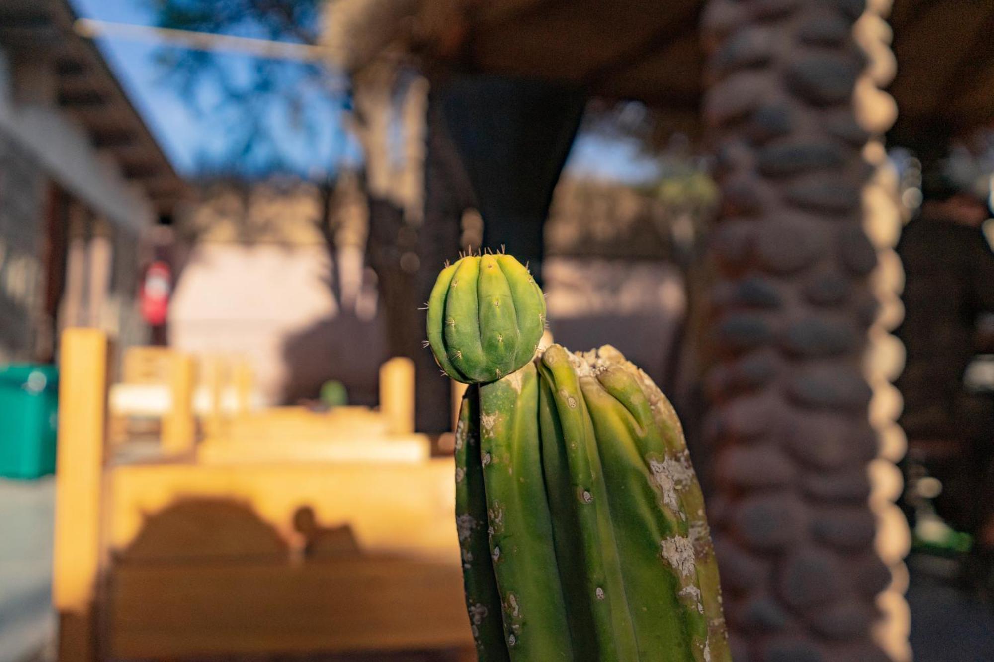 Hostal Katarpe San Pedro de Atacama Eksteriør billede